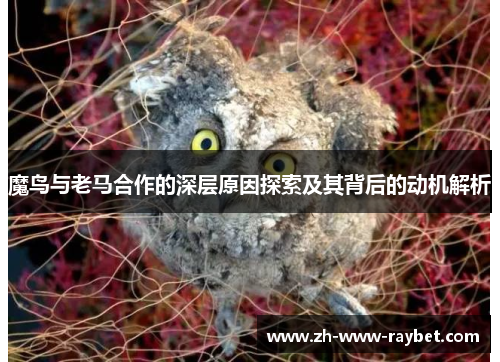 魔鸟与老马合作的深层原因探索及其背后的动机解析 魔鸟与老马合作的深层原因探索及其背后的动机解析