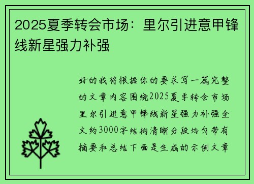 2025夏季转会市场：里尔引进意甲锋线新星强力补强